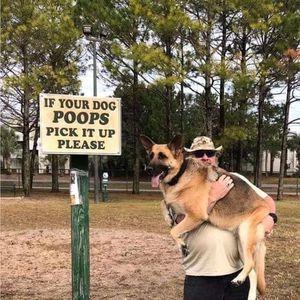 Meet your Posher, Jan